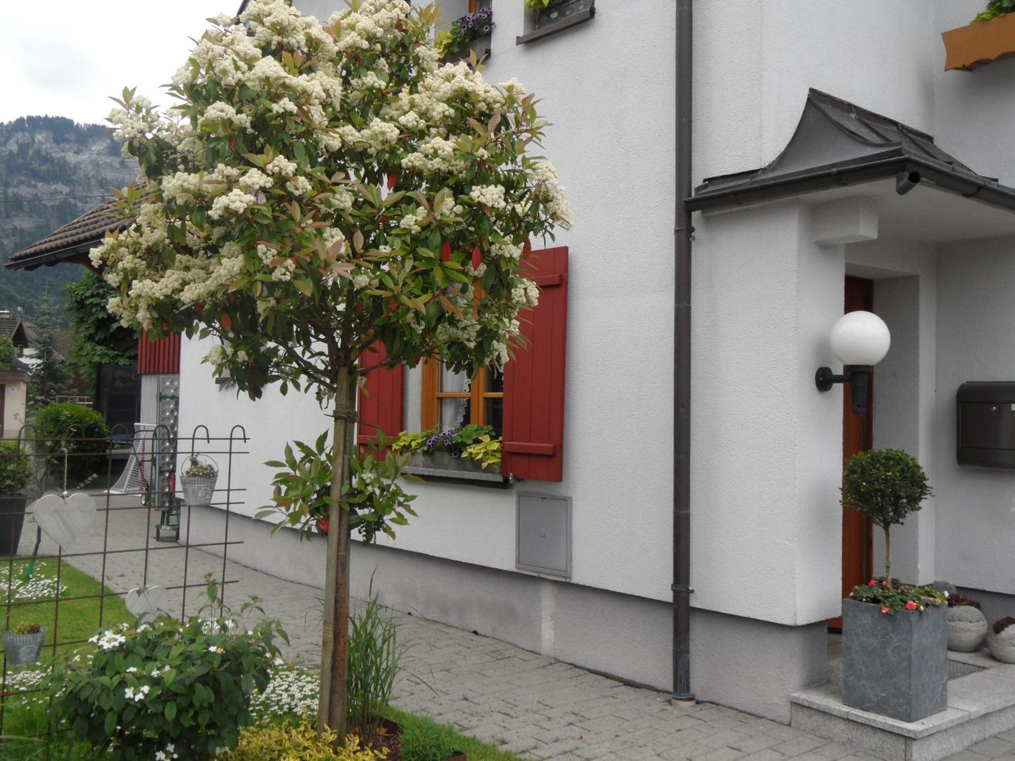 Ferienwohnung Lilly Ντορνμπίρν Εξωτερικό φωτογραφία